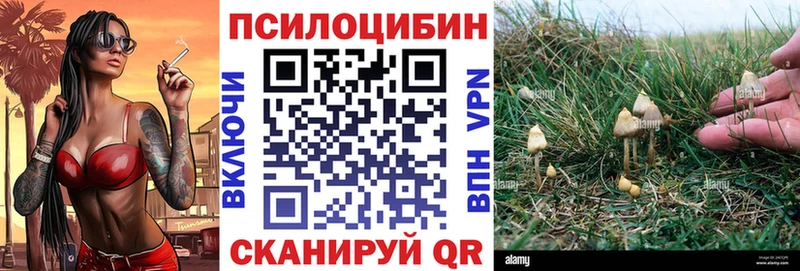 Псилоцибиновые грибы Cubensis  Скопин 