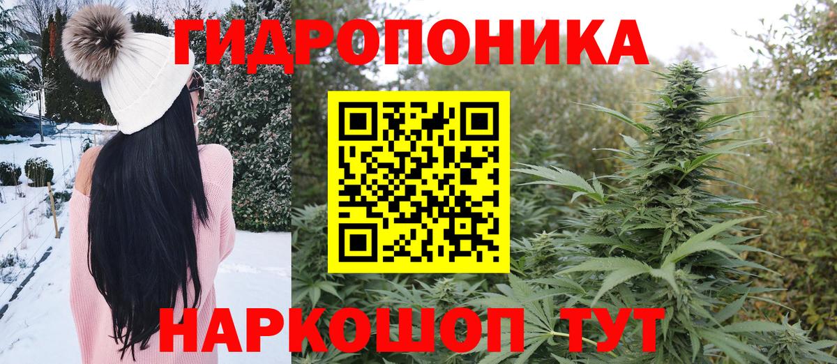 Каннабис сатива Скопин